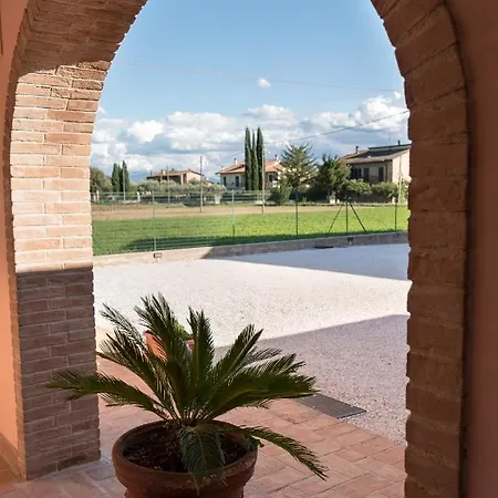 Rosa Di Assisi Bastia Umbra