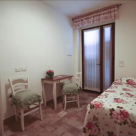 Rosa Di Assisi