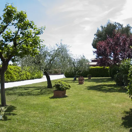 Oda ve Kahvaltı Rosa Di Assisi 3*