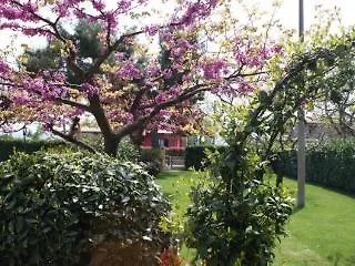 Oda ve Kahvaltı Rosa Di Assisi