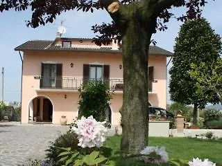 Rosa Di Assisi 3*
